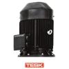 Tesk Vertical Multistage Motor 30kW 400V IE3 2900rpm (with thrust bearing) - TESK_SVMM_400_30 picture