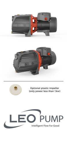 Leo Press-AJM60 - 0.6KW 230V Pump With Controller 230V image 1