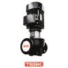 Tesk TK200-53 – 75kW In-Line Pump (Bareshaft) - TK200_53 picture