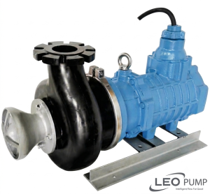 Meudy 100HVS422 / 22KW 400V Horizontal Slurry Pumps image 1