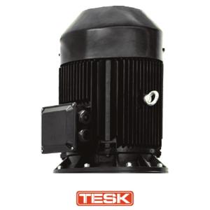 Tesk Vertical Multistage Motor 7.5kW 400V IE3 2900rpm (with thrust bearing) image 1