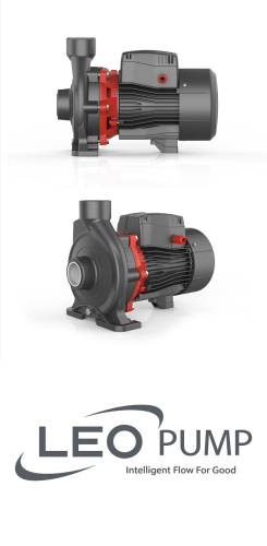 Leo ACm300C2 / 3KW 230V Centrifugal Pump And Motor image 1