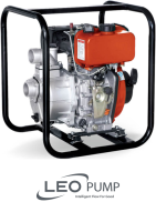 Leo LDP30A / 3.8HP Diesel Pump And Engine image 1