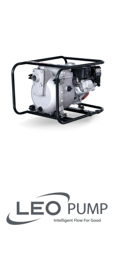 Leo LGP20-T / 5HP Gasoline Pump And Engine image 1