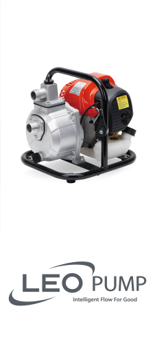 Leo LGP10 / 1.6HP Gasoline Pump And Engine image 1