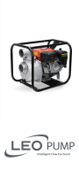 Leo LGP20-H / 6.5HP Gasoline Pump And Engine image 1