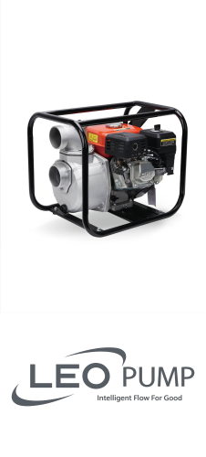 Leo LGP20-H / 6.5HP Gasoline Pump And Engine image 1
