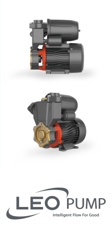 Leo LKSM750A / 0.75KW 230V Booster-Peripheral Self-Priming Pump And Motor image 1