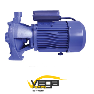 Vega 2CPM25/140M – 1.1kW (220V) 2-Stage Centrifugal Pump image 1