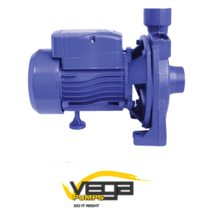 Vega CP158 Centrifugal – 0.75kW (380V) End-Suction Single Stage Pump image 1