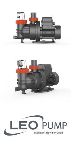 Leo XKP450 / 450W 230V Pool Pump And Motor image 1